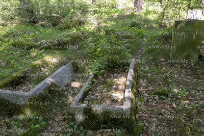 Cmentarz dawnej gminy żydowskiej w Skarszewach, założony...