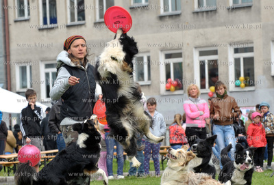 Festyn Osiedlowy w ramach Dni Sasiadow na terenie Gimnazjum...