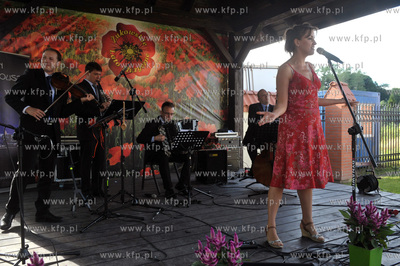 Zukowskie Lato Muzyczne w Zukowie na Kaszubach. Koncert...
