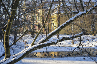 Zima w Parku Oliwskim. 05.01.2008 fot. Maciej Kosycarz...