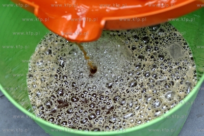 Żuławski Park Historyczny w Nowym Dworze Gdanskim....