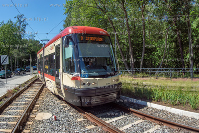 Tramwaj Pesa Swing na pętli Stogi Plaża. 03.07.2022...