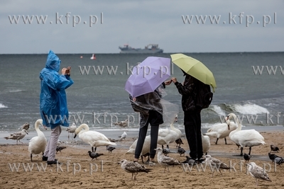Deszczowe wakacje w Sopocie. 9.07.2019 / fot. Anna...