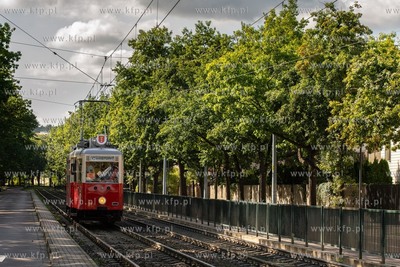 Bezpłatna linia tramwajowa nr 1 w ramach Europejskiego...
