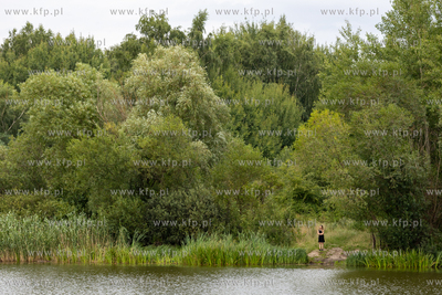 Gdańsk, Jasień. Koncerty nad Stawem Wróbla - Raphael...