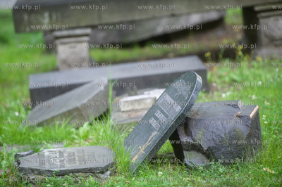 Gdańsk. Lapidarium w parku Akademickim. 17.07.2017...