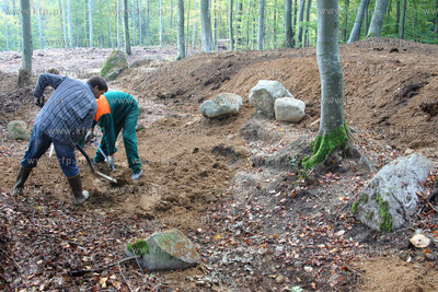 Kurhany w lesie kolo wsi Lewino dm. Luzino (pow. Wejherowo)...