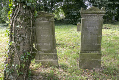 Cmentarz mennonicki z II połowy XVIII wieku w Stawcu...