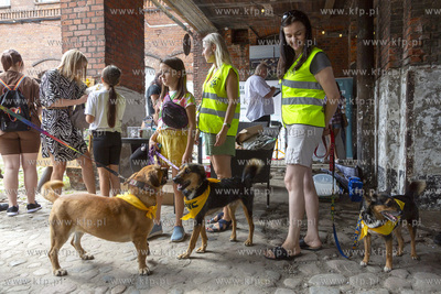 "Cukroteka na 4 łapy" w Pruszczu Gdańskim.
26.08.2023
fot....