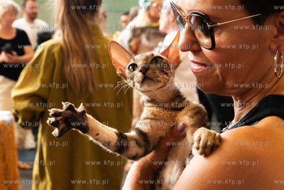 Międzynarodowa wystawa kotów rasowych "Koty na Hawajach"...