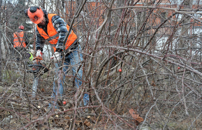 Wycinka drzew pod budowe nowej Trasy Slowackiego na...