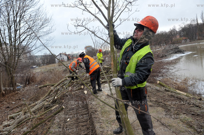 Wycinka drzew pod budowe nowej Trasy Slowackiego na...