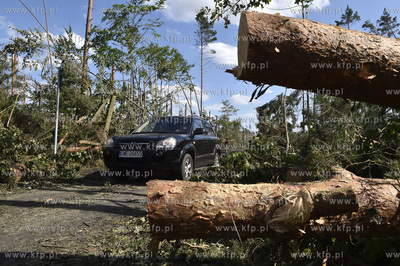 Skutki wichury na Pomorzu. Zniszczony przez wiatr las...