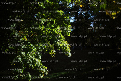 Gdansk. Park Przymorze.
17.10.2012
fot. Krzysztof...