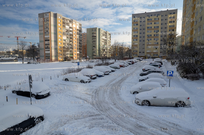Zima w Gdańsku. Morena. 12.01.2026 fot. Paweł Marcinko...