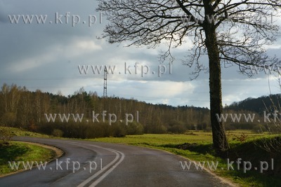 Kaszubski krajobraz w gminie Szemud. 25.04.2021 / fot....