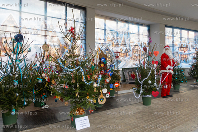 Sopot. Zapalenie światełek na ustrojonych przez dzieci...