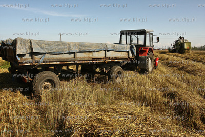 Chwaszczyno. Pierwszy tydzien zniw.  07.08.2009  fot....