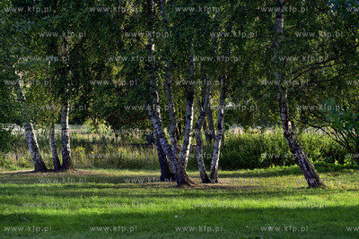 Gdansk. Park Reagana 29.08.2015 fot. Jan Harb Sieminski...