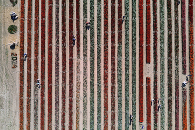 Laureaci XXVIII Pomorskiego Konkursu Fotografii Prasowej...