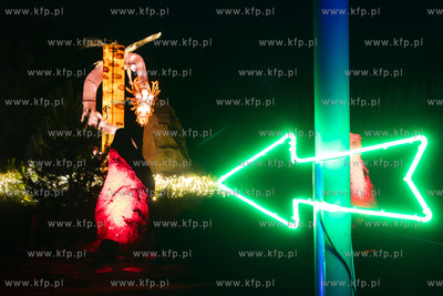 Przedpremierowy pokaz iluminacji w Lumina Park na terenie...