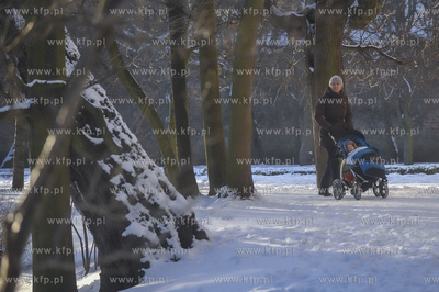 Zima w Parku Oliwskim. 05.01.2008 fot. Maciej Kosycarz...