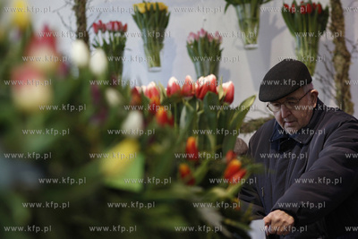 Gdansk.Wystawa Ogrod Kulturalny - Holandia, na ktorej...