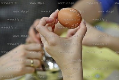 Akademickie Centrum Kultury UG Alternator. Zespol Piesni...