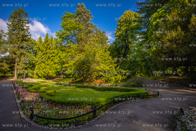 Park Oliwski.
11.06.2021
fot. Krzysztof Mystkowski...