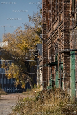 Gdańsk. Spacer po Stoczni Cesarskiej 18.10.2018  /...