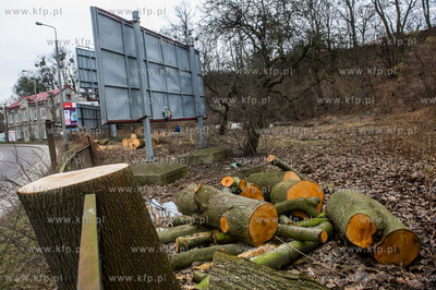 Gdańsk. Wycięte drzewa na jednej z działek przy...