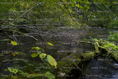 Babi Dol. Jar Raduni. 21.09.2014 fot. Pawel Marcinko...