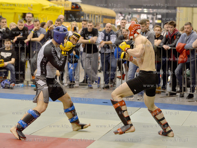 Fit Festival 2016 odbu\yl się w dnia 27-28 lutego...