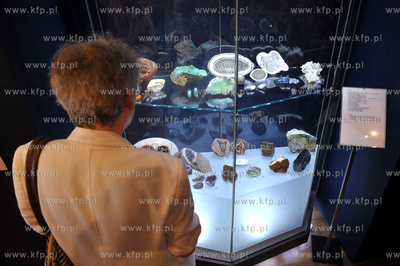 Gdansk, Muzeum Bursztynu. 5 x N - najcenniejsze, niezwykle,...