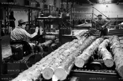 Tartak w Dziemianach na Kaszubach. 02.1991 4luty1991_m.kosycarz_p36...