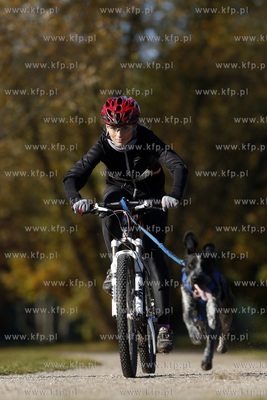 Gdańsk. Park Reagana. Pucharu Polski Psich Zaprzęgów...