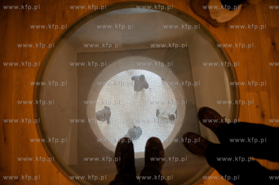 Gdansk. Konferencja prasowa i przeciecie wstegi przez...