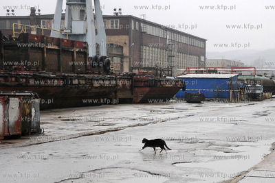 Koci problem w Stoczni Gdynia. Po zamknieciu produkcji...