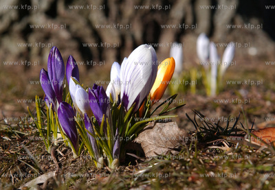 Sopot. Lazienki Poludniowe - Park im. Marii i Lecha...