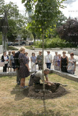 Uroczyste posadzenie magnolii na placu Jana Pawła...