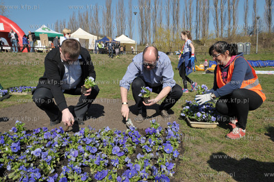 Gdansk Chelm, Jar Wilanowski. Akcja: Wielkie sprzatanie...