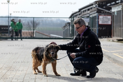 Schronisko dla Bezdomnych Zwierząt "Promyk" w Gdańsku...