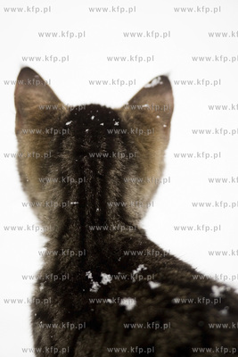 Gdańsk Letnica. Zima. 21.01.2016 fot. Krzysztof Mystkowski...