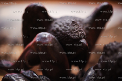 Muzeum Narodowe w Warszawie.
16.03.2011
fot. Michal...