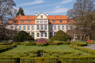 Wiosna w Parku Oliwskim. 15.04.2025 / fot. Anna Rezulak...