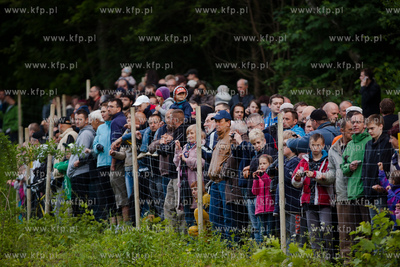 Wyburzanie Mostku Weisera na gdanskiej Strzyzy. 05.06.2013...