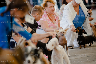 Gdansk. Teren przed stadionem PGE Arena. Miedzynarodowa...