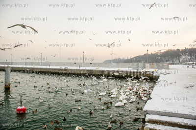 Gdynia. Zimowa, mroźna pogoda w marinie jachtowej....
