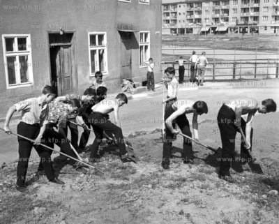 Czyn spoleczny na trawniku pomiedzy ul. Mniszki i Stolarska...