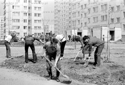 Czyn spoleczny na gdanskim osiedlu Morena. Na drugim...